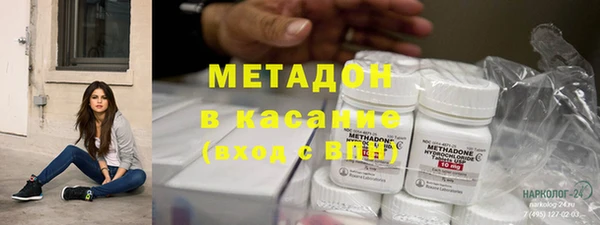 прущие грибы Покровск