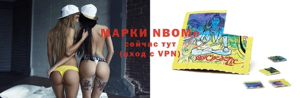 прущие грибы Покровск