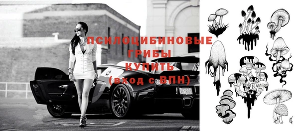 прущие грибы Покровск