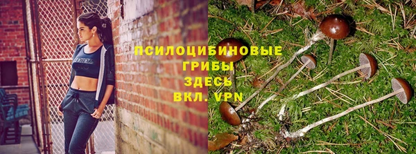 марихуана Покачи