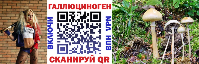 Галлюциногенные грибы ЛСД  Купить  Цоци-Юрт 